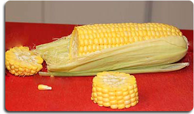 Cortamos el maíz en rodajas